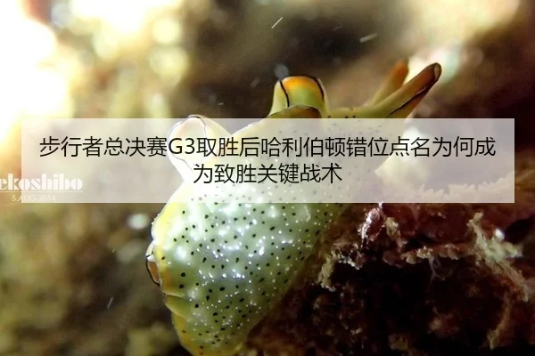 步行者总决赛G3取胜后哈利伯顿错位点名为何成为致胜关键战术
